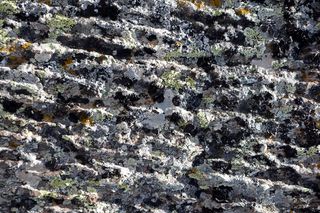 肯尼迪, 石头, 纹理, 作文, 宏观, 自然, 石头是, 详细信息