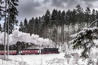红色，黑色，蒸汽机车，交叉口，松树，涂层，雪，哈泽尔·施马尔斯普鲁恩