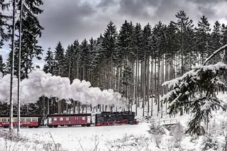 红色，黑色，蒸汽机车，交叉口，松树，涂层，雪，哈泽尔·施马尔斯普鲁恩