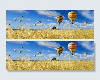 热气球，自然，风景，田野，天空，小麦，麦田，金色