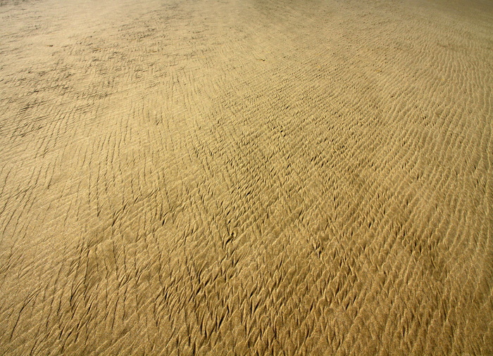 沙滩、度假、海岸、海滩、自然、海洋、户外、海洋