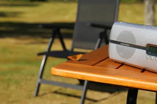 夏季、乡村、瑞典、自然、蝴蝶、收音机、座椅、椅子