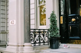 靠近白色混凝土柱的绿叶植物