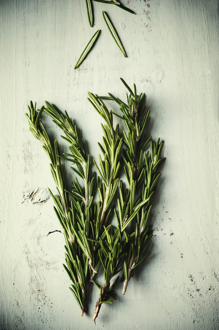 绿色，迷迭香，室内，植物，药草，叶子，新鲜，没有人