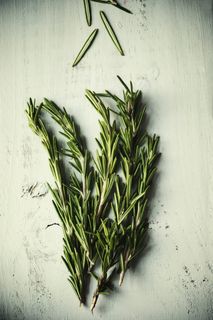 绿色，迷迭香，室内，植物，药草，叶子，新鲜，没有人