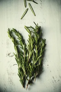 绿色，迷迭香，室内，植物，药草，叶子，新鲜，没有人