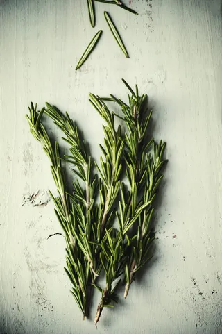 绿色，迷迭香，室内，植物，药草，叶子，新鲜，没有人