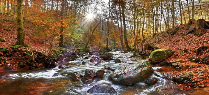 ilsetal,树脂,德国,博尔德,在哈兹山脉徒步旅行,浮现,秋天,树 ilsetal,树脂,德国,博尔德,在哈兹山脉徒步旅行,浮现,秋天,树