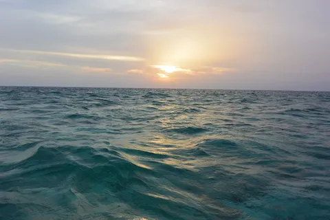 海洋,大海,绿松石,波浪,美丽,地平线,鱼,波浪 海洋,大海,绿松石,波浪,美丽,地平线,鱼,波浪