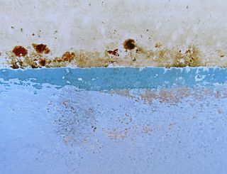 蓝色和米色漆墙