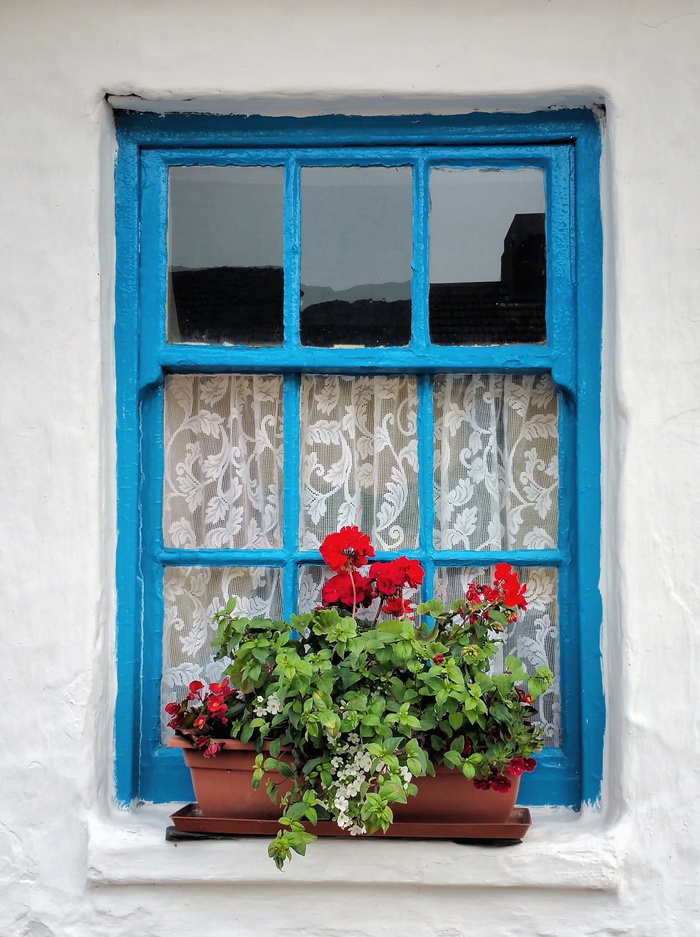 old，irish，小屋，窗户，花盆，花，装饰，天竺葵