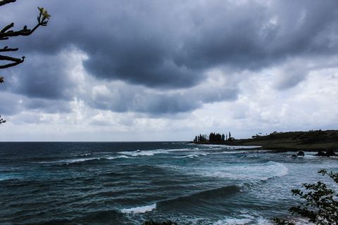 布伦登电视台，海浪，夏威夷，毛伊岛，海洋摄影，风景，树木，水