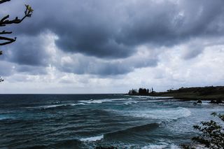 布伦登电视台，海浪，夏威夷，毛伊岛，海洋摄影，风景，树木，水
