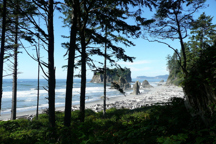 Ruby，Beach，Beach，Washington，Usa，景观，Ruby，Beach，Washington，海岸线