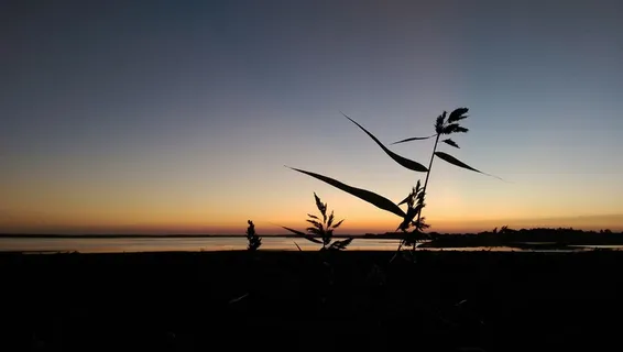 太阳,傍晚,日落,天空,剪影,自然之美,风景-自然,宁静 太阳,傍晚,日落,天空,剪影,自然之美,风景-自然,宁静