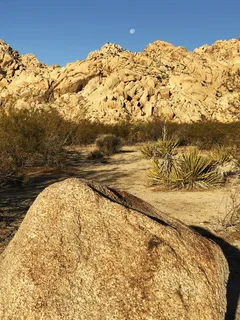 在美国，二十九棕榈树，69219印度湾东路，月亮，沙漠，约书亚树，泥土，树木