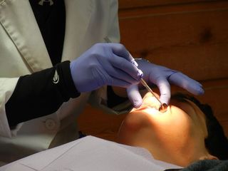 人，手持，灰色，牙科，工具，正畸医生，牙医，牙套