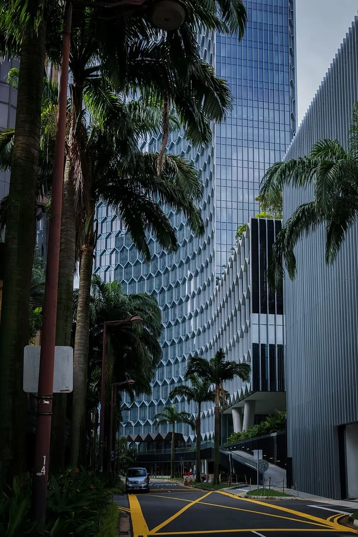 混凝土建筑附近道路上的灰色车辆