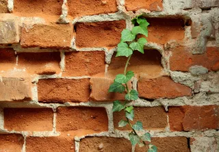 独霞湖，砖砌，古老，红色，墙壁，纹理，图案，背景