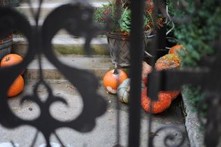 灰色水泥地面上的南瓜