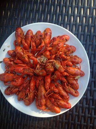 森林之湖的虾、食物和饮料、食物、新鲜度、甲壳类动物、海鲜、静物、高角度视野