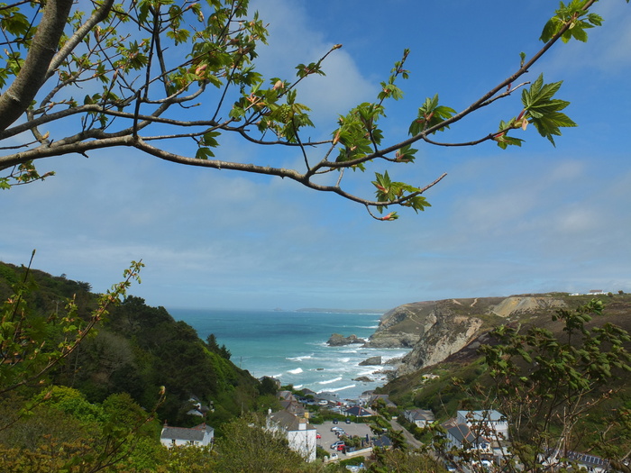 海岸线，风景，海滩，海，海洋，海岸线，水，树