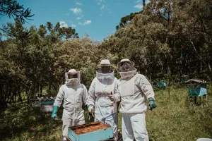 三个穿白色西装的人