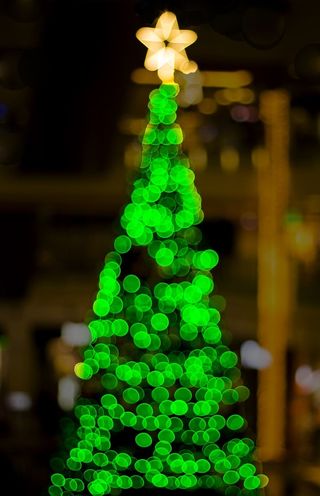 绿色圣诞树