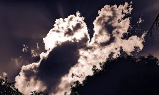 南非，比勒陀利亚，明亮，白色，黑色，云，树，树叶