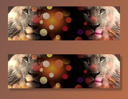 摄影，狮子拼贴，狮子，猫，狮子，雄狮，雄狮，头