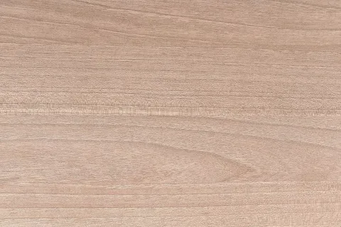 棕色表面 棕色表面
