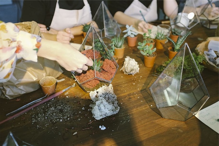园艺、花盆、植物、土壤、工作、餐桌、食物和饮料、真人