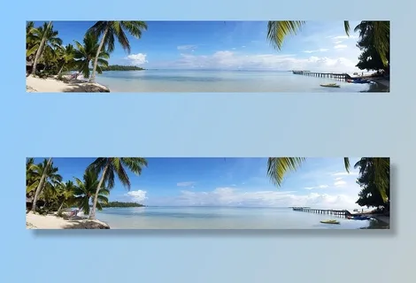 靠近海洋和码头的椰子树