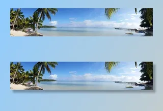 靠近海洋和码头的椰子树