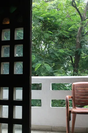 门，椅子，阳台，树，室内，窗户，植物，树