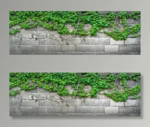 灰砖，常春藤，藤蔓，树叶，植物，花草，自然，达姆