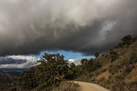西班牙，云天，植物，树木，天空，自然之美，风景-自然，非城市场景