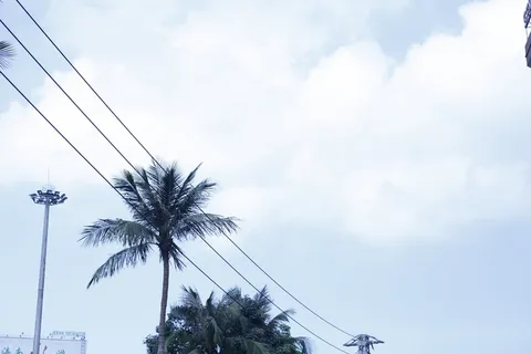 椰子树，棕榈树，天空，热带气候，树，云天，植物，低角度视图