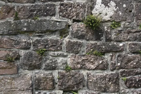 砖墙,砖,砂石,墙,天然石,纹理,结构,背景 砖墙,砖,砂石,墙,天然石,纹理,结构,背景