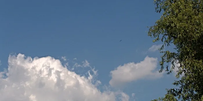 天空, 蓝色, 蓝色, 云, 树木, 天空, 蓝色, 云, 自然, 天气