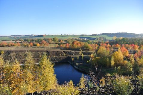 湖，伸展，秋天，树叶，秋天，树叶，落叶，五彩缤纷，秋天的颜色