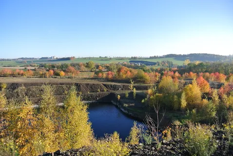 湖，伸展，秋天，树叶，秋天，树叶，落叶，五彩缤纷，秋天的颜色