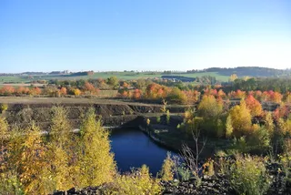 湖，伸展，秋天，树叶，秋天，树叶，落叶，五彩缤纷，秋天的颜色