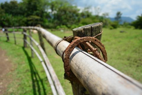 马蹄铁，戒指，太阳，金属，钢铁，生锈，铁-金属，聚焦前景