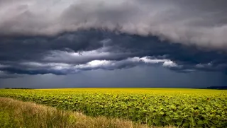 风暴、黄色、云、雨、云-天空、环境、场、景观