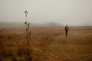 自然、人、人、天气、雾、户外、地面、雾