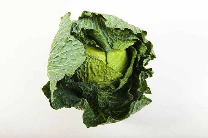 卷心菜，绿色，电力，蔬菜，玉米，蔬菜，食品，自然