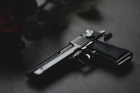 武器，武器，手枪，枪，军火库，弹药，散弹枪，机关枪