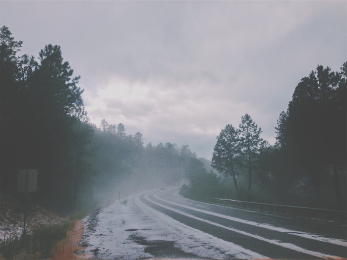 公路，公路，雪，冬天，护栏，树木，森林，森林