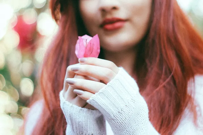 选择性，聚焦照片，女性，手持，粉色，三角梅花，人物，美女
